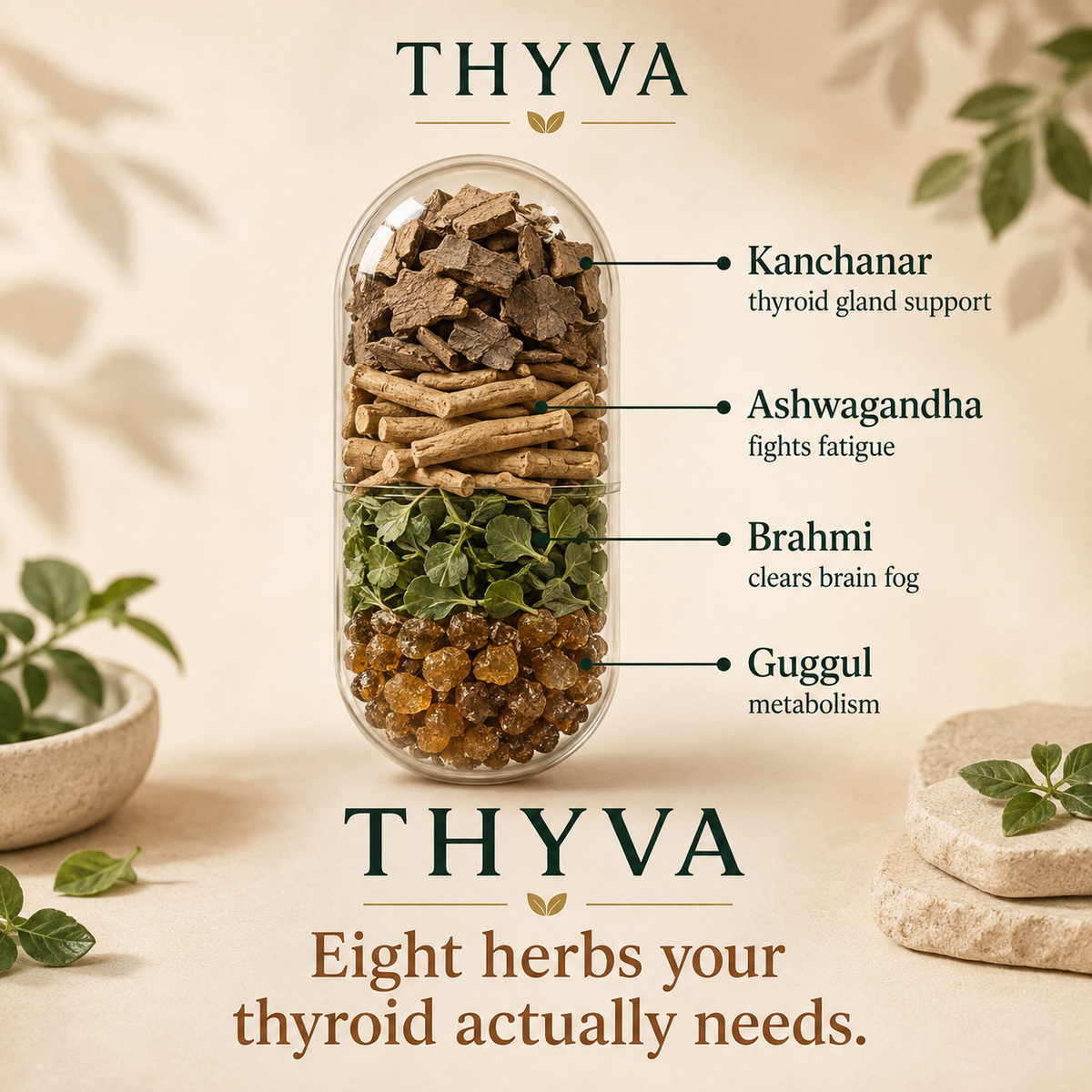 Thyva ingredients