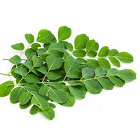 Shigru (Moringa)